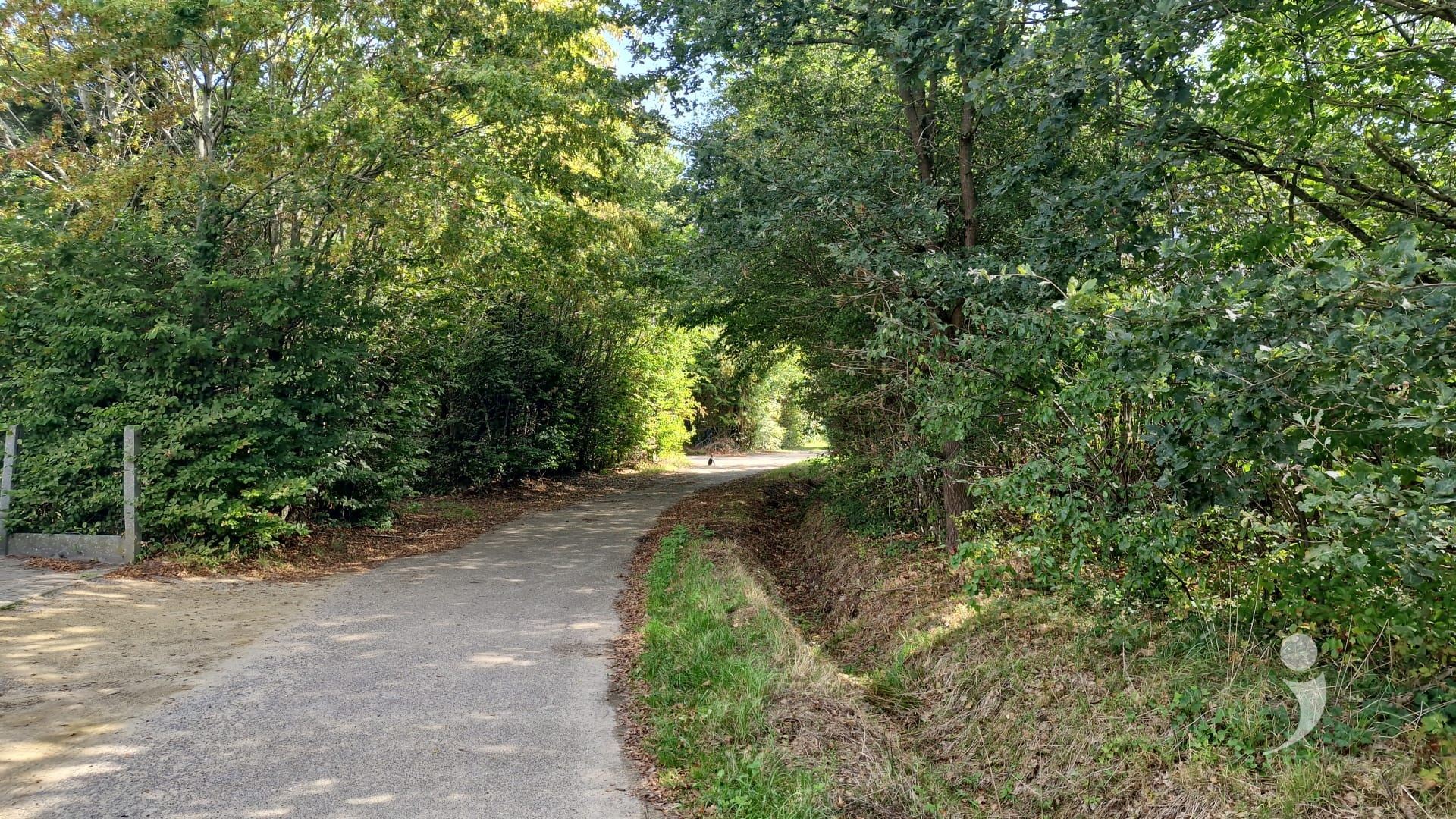 Bouwgrond te koop in LANGDORP