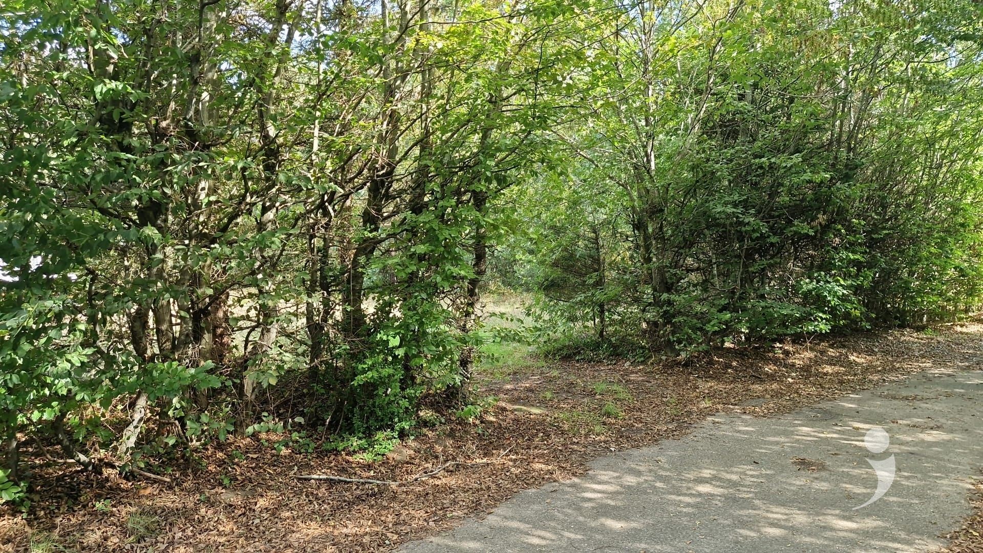 Bouwgrond te koop in LANGDORP