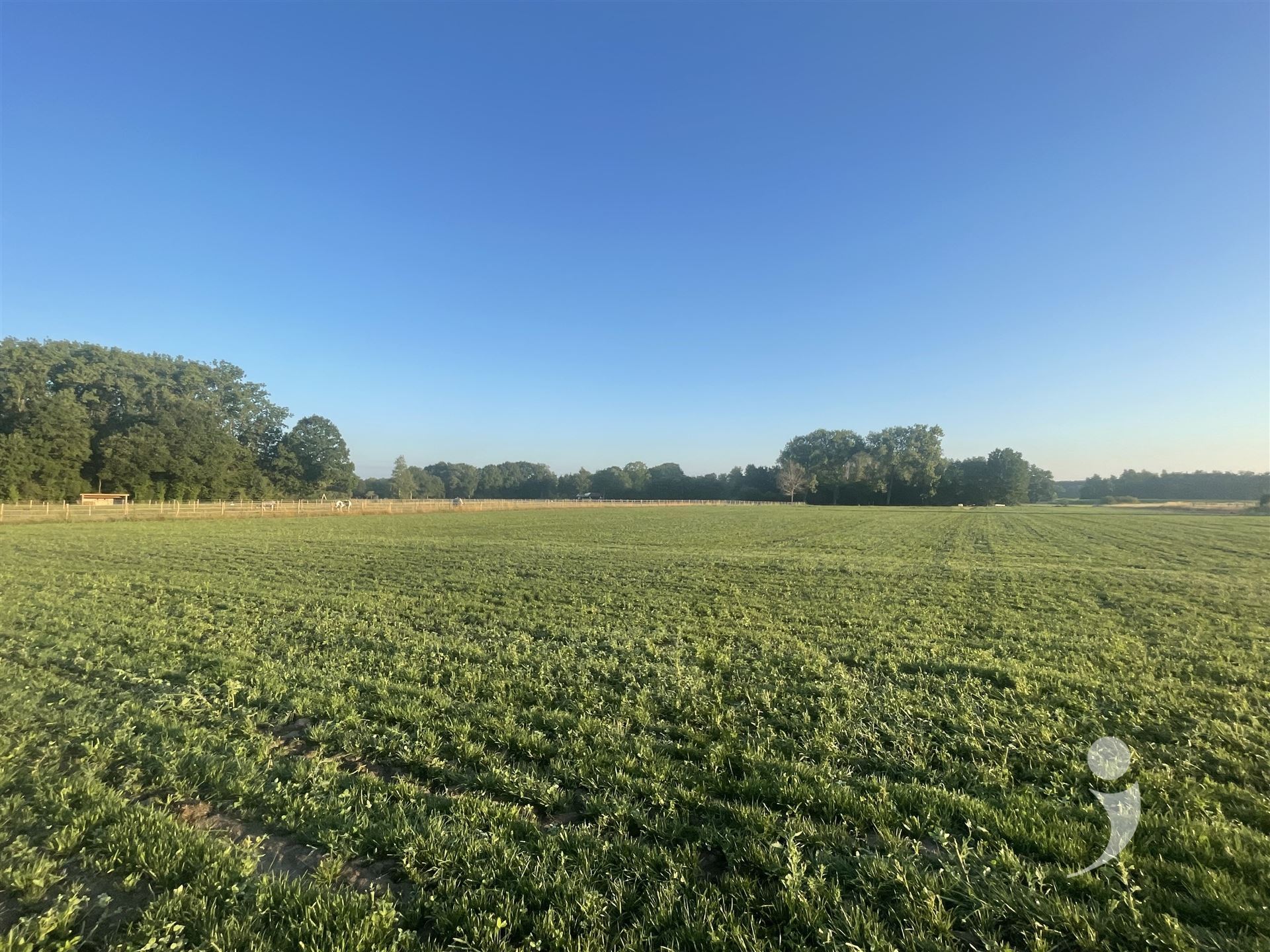 Bouwgrond te koop in TESTELT