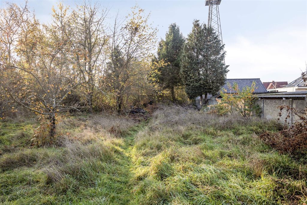 Eengezinswoning te koop in LANGDORP