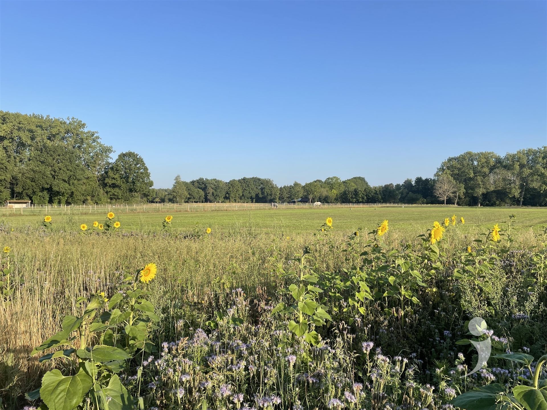 Ground for sale in TESTELT